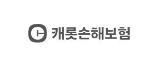 캐롯손해보험